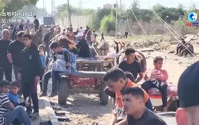 巴勒莫遭遇佛罗伦萨绝杀，陷入降级区的简单介绍